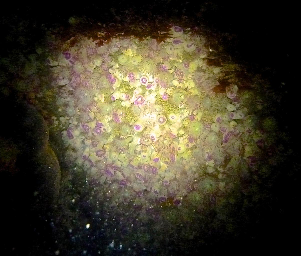 P1040220