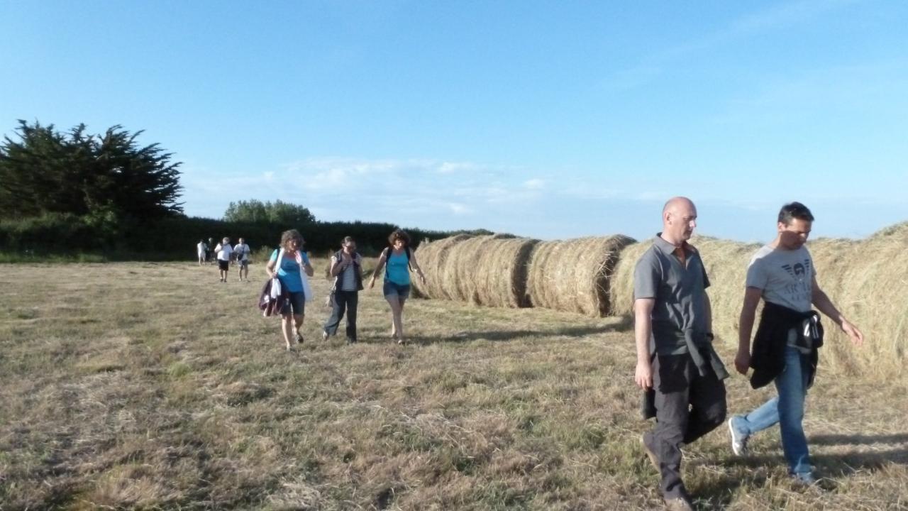 balade dans les champs av la crêperie