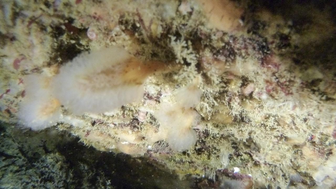 P1050129