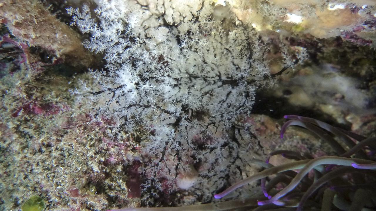 P1050131