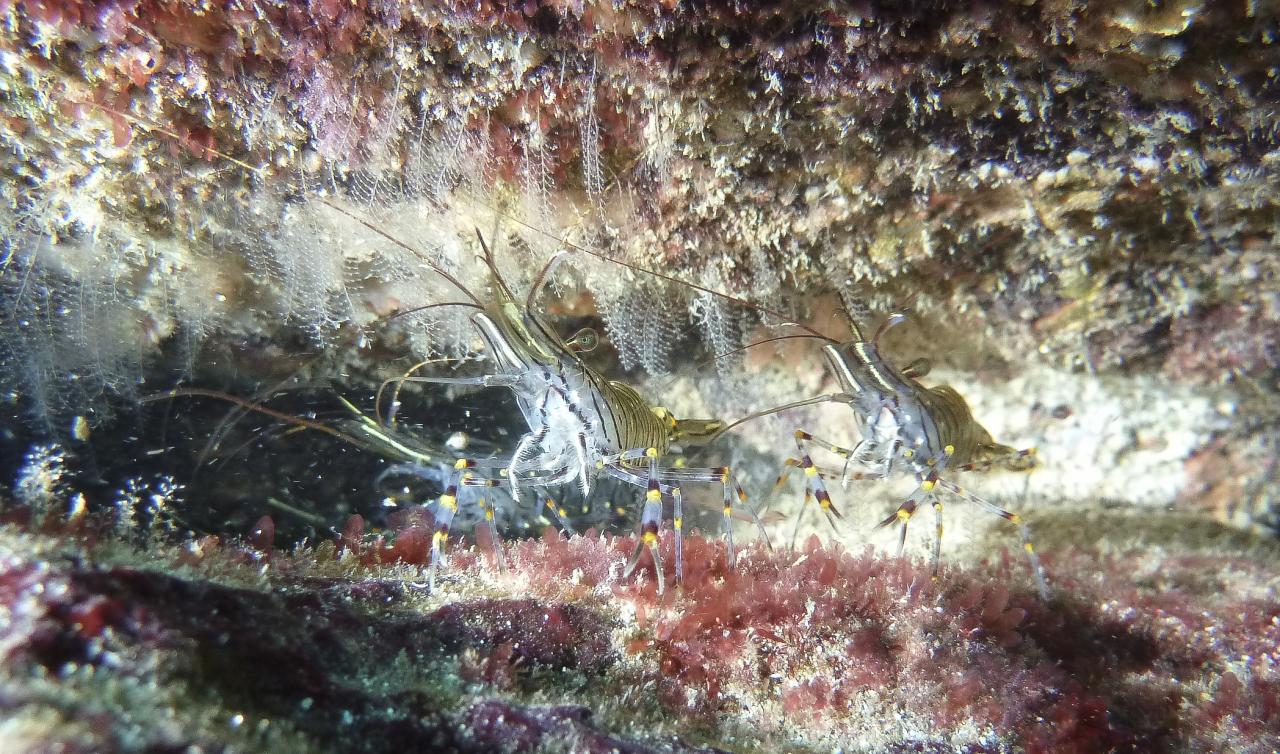 P1050134