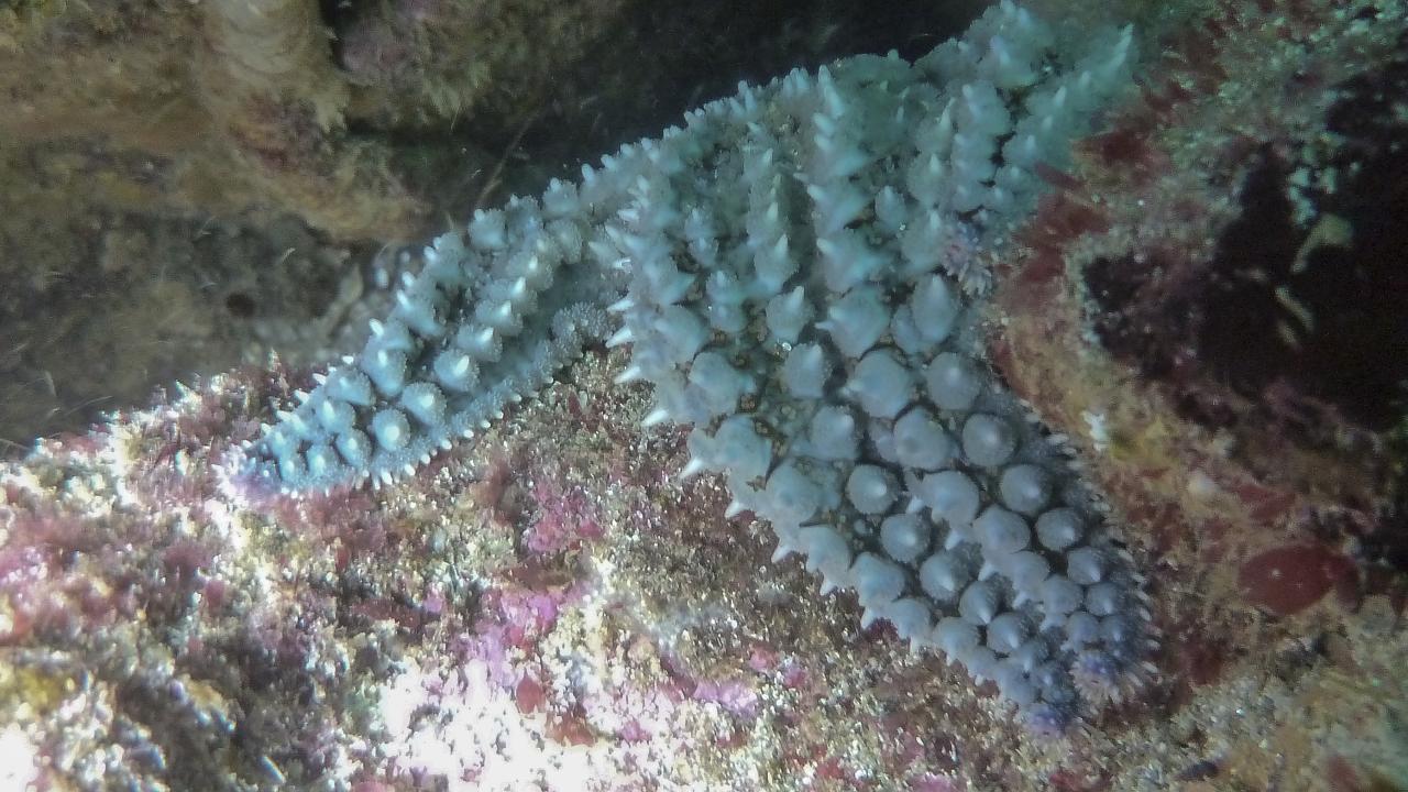 P1050155