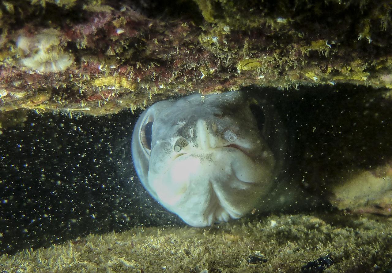 P1050158