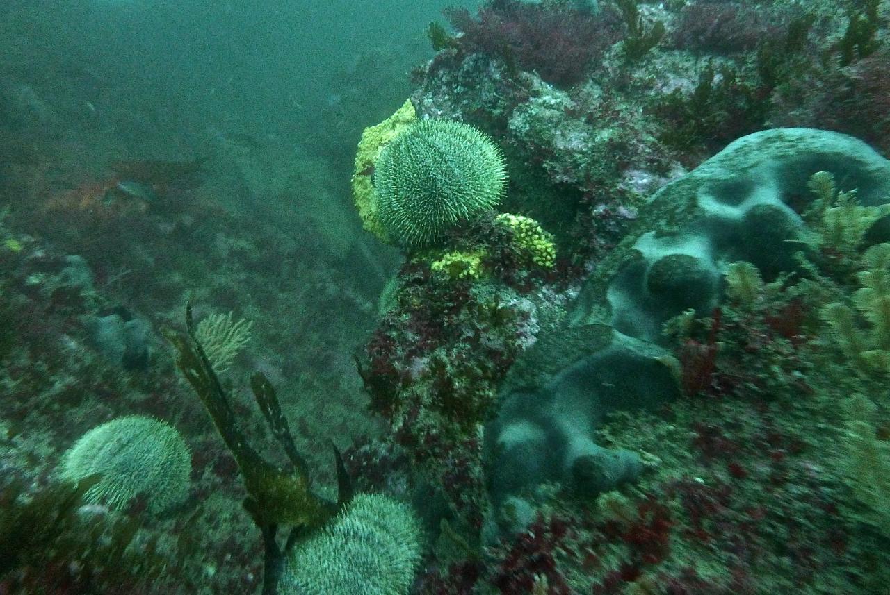 P1050262