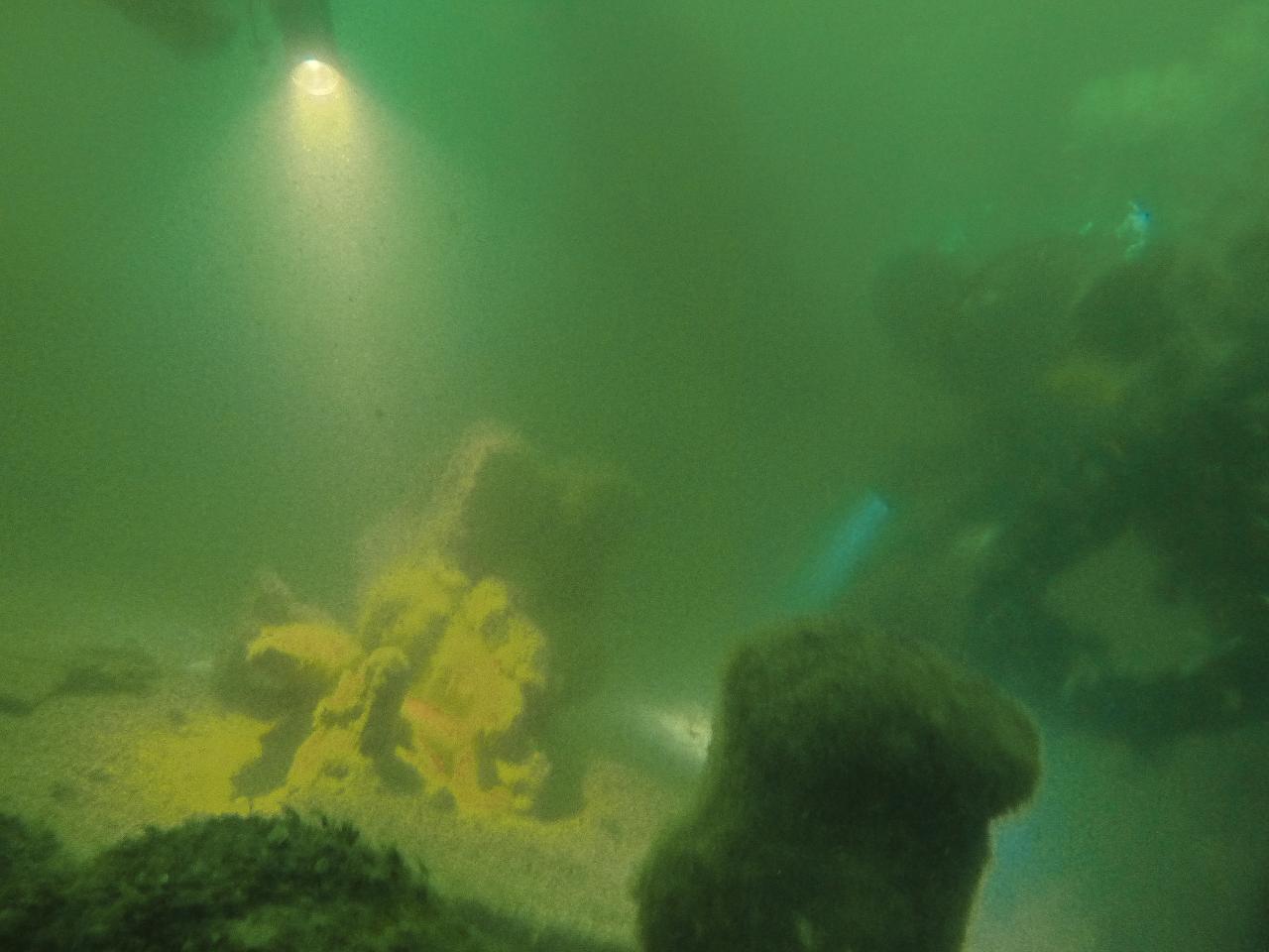 P1050269