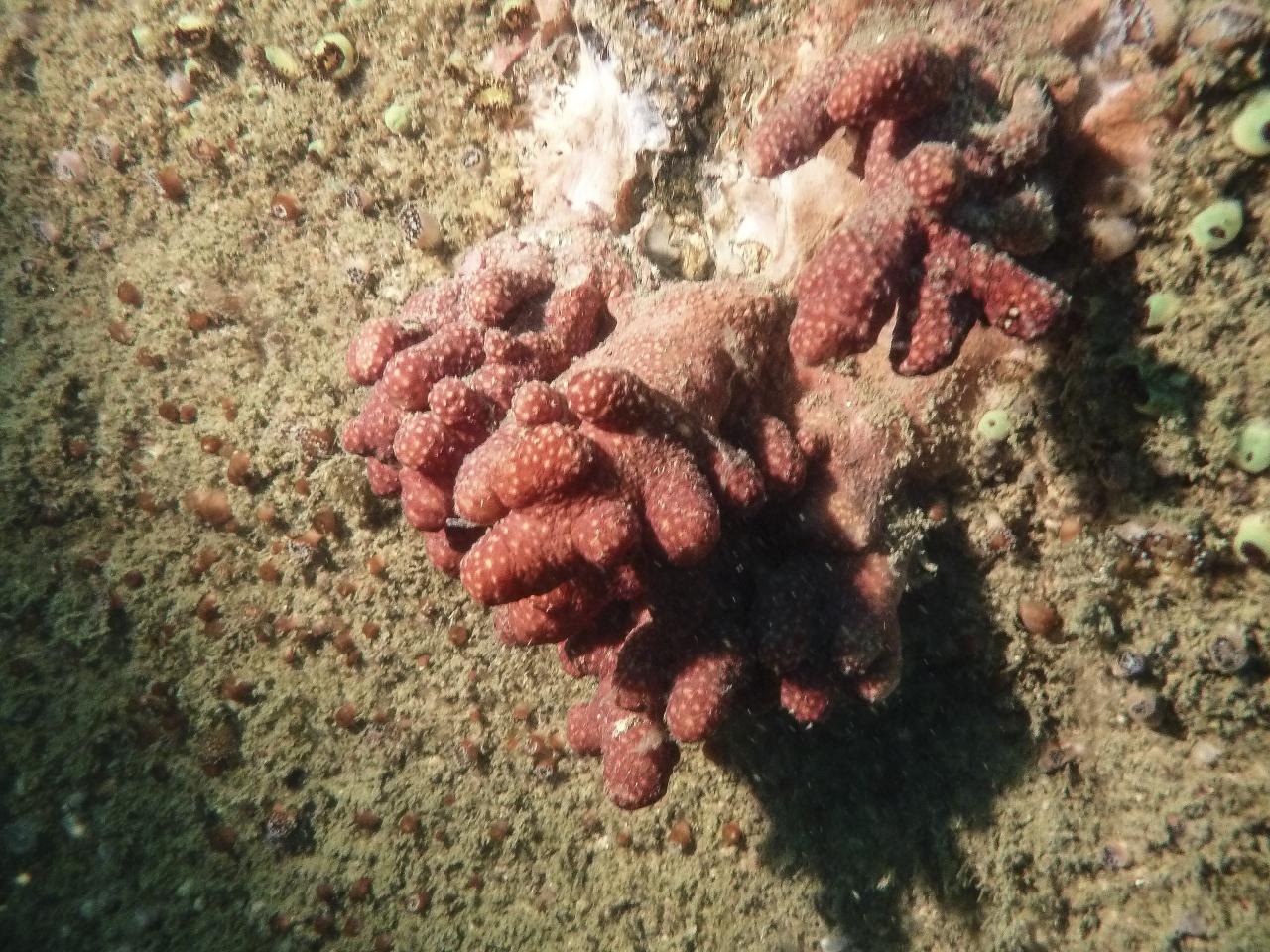 P1050331